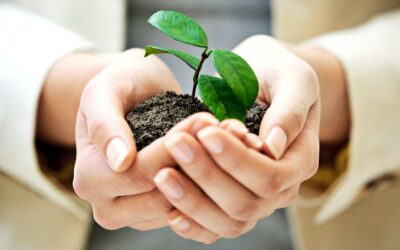 The Power of Boundaries in Boosting Self-Esteem