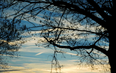 Navigating Grief