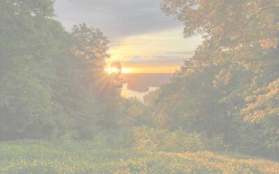 Loving Kindness