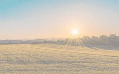 Progressive Muscle Relaxation