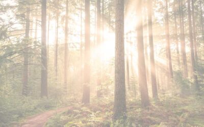 Safe Place in Nature