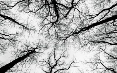 Dating, Divorce, and the Nervous System: Why Healing Is Not Linear